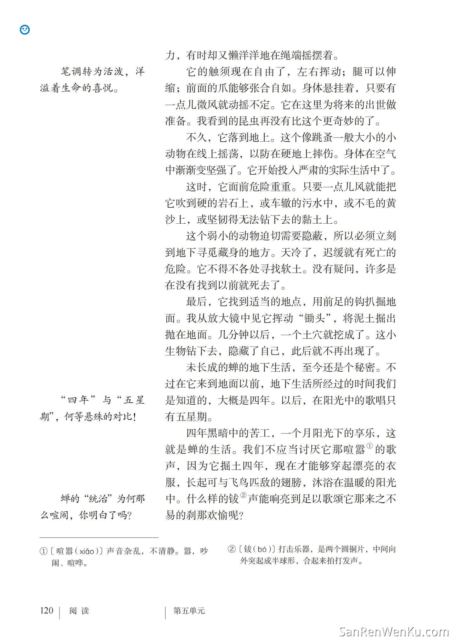 蝉 - 人教版语文8上_123