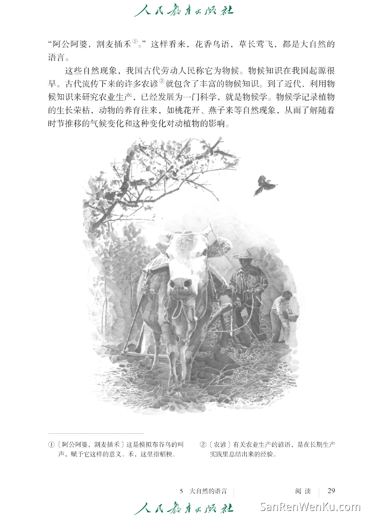 大自然的语言 - 37