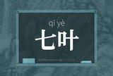 七叶