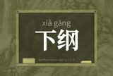 下纲