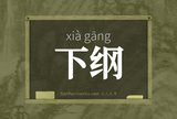 下纲