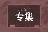 专集