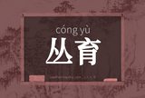 丛育