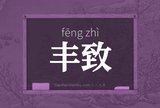 丰致