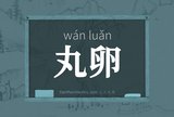 丸卵