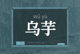 乌芋