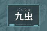 九虫