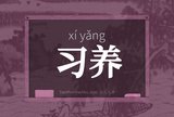 习养