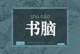 书脑