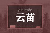 云苗