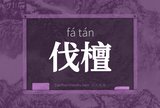 伐檀