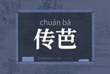 传芭