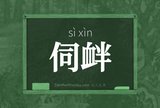 伺衅