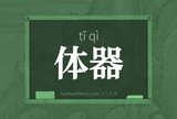体器