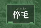 倅毛