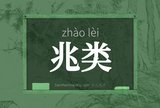 兆类