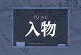 入物