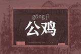 公鸡