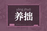 养拙