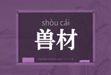 兽材