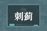 刺蓟