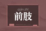 前肢