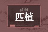 匹植