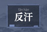 反汗