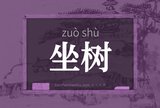 坐树