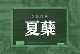 夏蘖