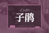 子鹃