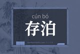 存泊