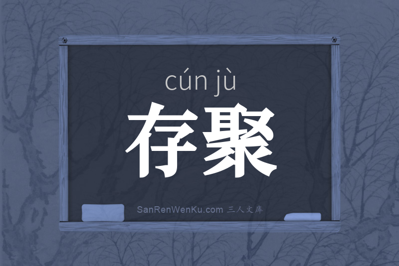 存聚