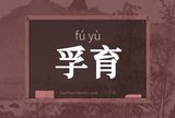 孚育