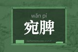 宛脾
