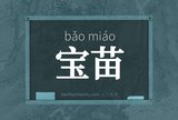 宝苗