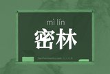 密林