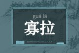 寡拉