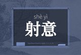射意