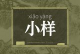 小样