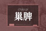 巢脾