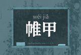 帷甲