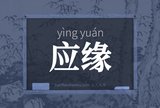 应缘