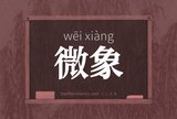 微象