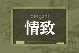 情致