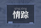 情踪