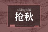 抢秋