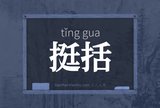 挺括