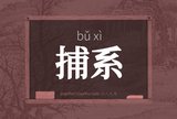 捕系