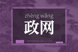 政网